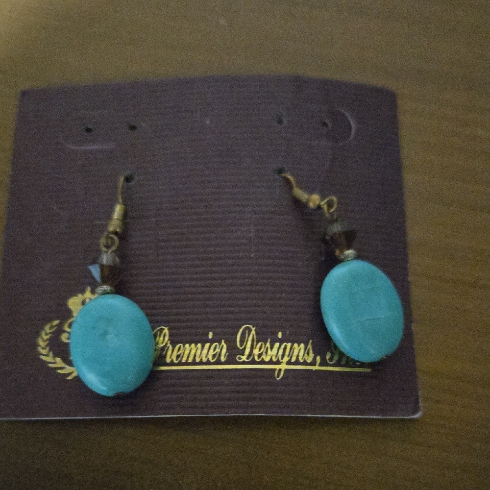 Premier Designs Aqua and Chocolate Earrings